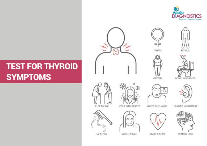 Symptoms hypothyroidism Hypothyroidism Symptoms